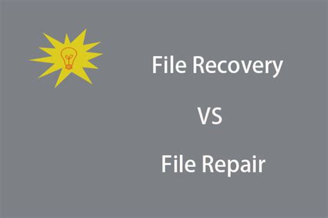 Image result for File Repair Recovery