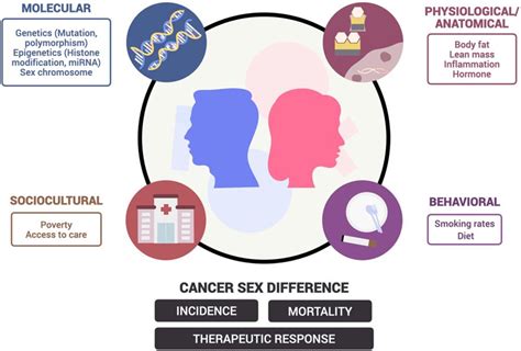 Molecular basis of sex differences in cancer: Perspective from Asia: iScience