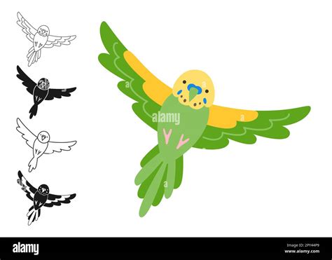 Image result for How to Draw Parrot Flying