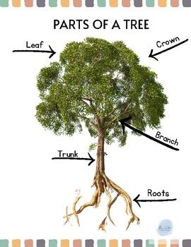 Image result for Tree Structure HTML/CSS
