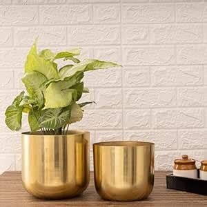 HomeShastra® Luxe Gold Metal Planters | Big Planter - 7.5 Inch by 7 ...