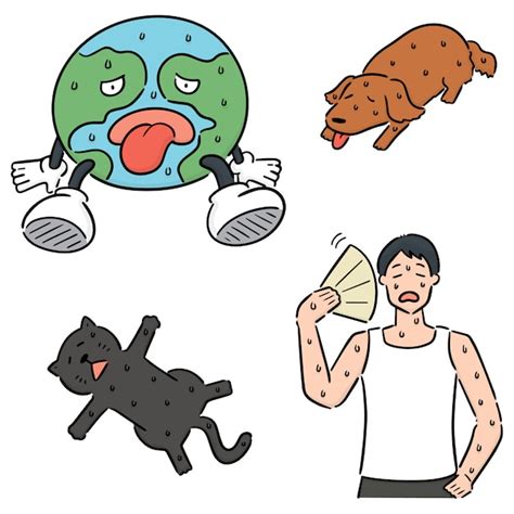 Set of hot weather | Premium Vector