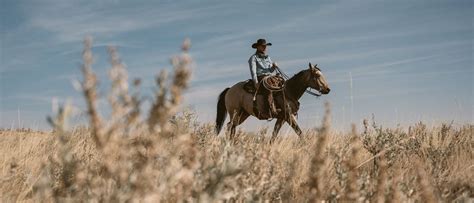 Colter Wall in Seattle, Paramount Theatre, Seattle, 21 January 2025 ...
