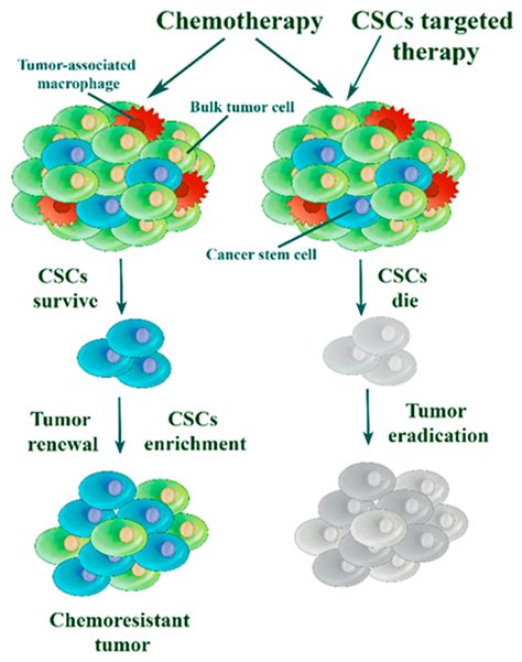 Image result for Triple Negative Recurrence