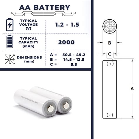 Battery Aa Dimensions at Maddison Chapman blog