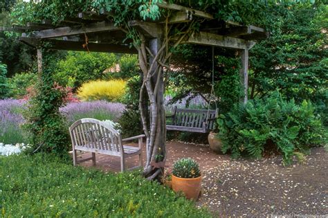 Vine covered arbor pergola - Summer-Dry | Celebrate Plants in Summer ...