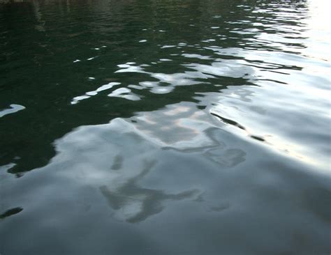 Image result for Water Reflection Spring