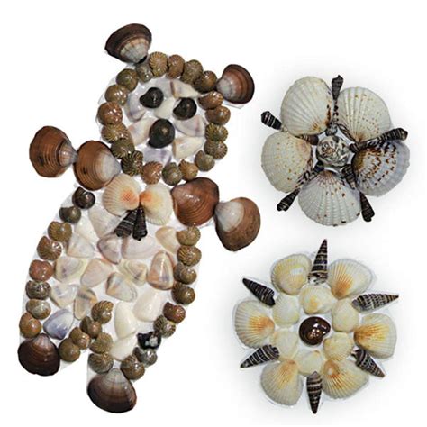 SHELL BINDING CRAFT – Edu Toys