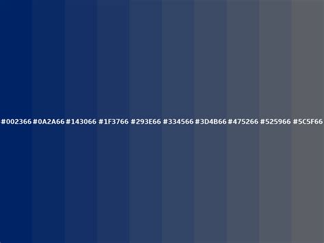 Royal blue (dark) color (Hex 002366)