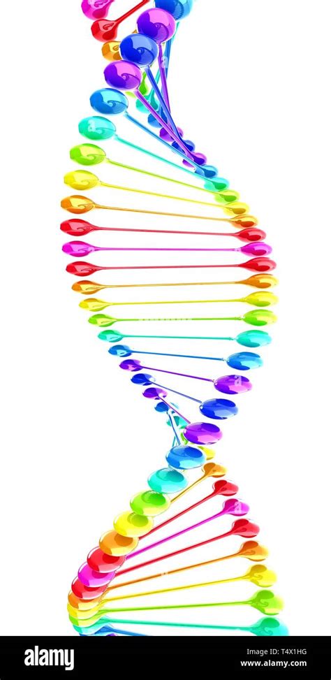 Image result for Good DNA Structure Model