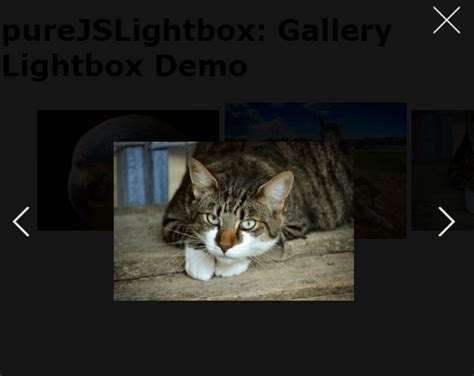 Lightbox Script 的图像结果