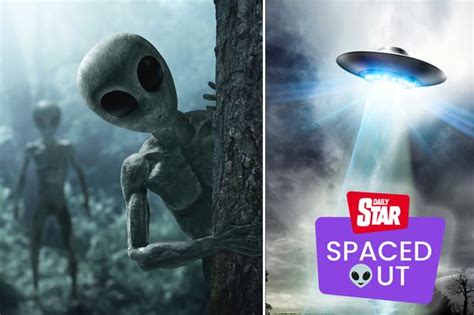 Image result for Alien Killing