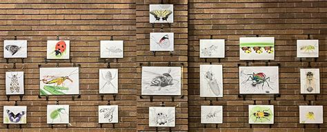 ART-THROPODS: A Close Look at Bugs Gallery | FWS.gov