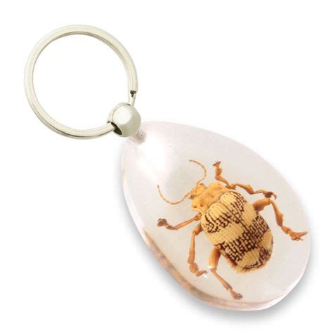 Bug Keychains 的图像结果