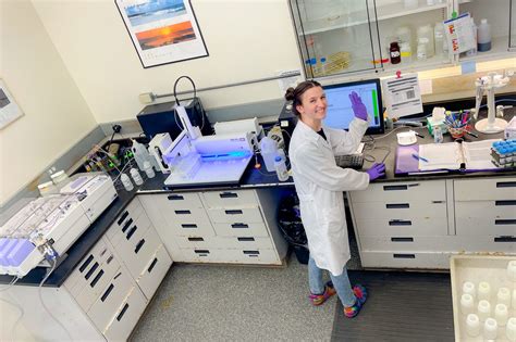 Image result for Environmental Engineering Lab