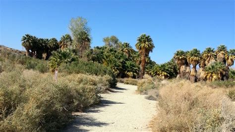 1000 thousand palms oasis preserve | Aqua Soleil Hotel & Mineral Water Spa