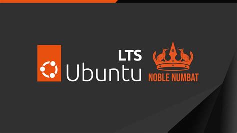 Linux Ubuntu LTS 的图像结果