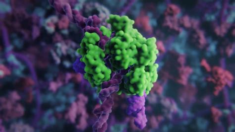 Image result for CRISPR Tutorial