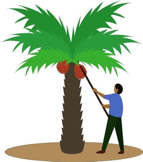 Digo People: Kenya’s Coastal Coconut Farmers and Islamic Traditions