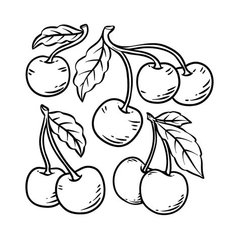 Premium Vector | Hand drawn cherry outline illustration