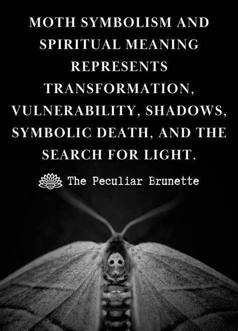 Moth symbolism and unbelievably awesome spiritual meaning – Artofit