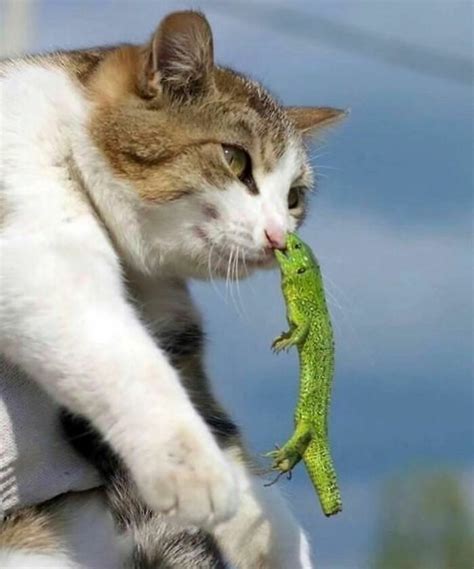 Cringe Be Like 的图像结果