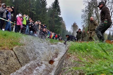 Želnavským smykem se po více než 60 letech plavilo dřevo. Rekonstrukce ...