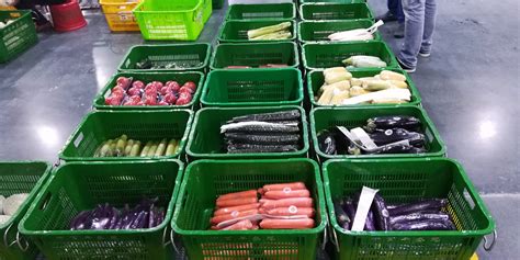 蔬菜水果包装 - 广州尚德机械科技有限公司-食品机械综合服务商