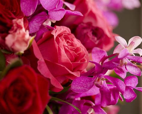 Martha Rea's Florist Menu Montgomery • Order Martha Rea's Florist ...