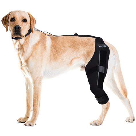 HUAME Dog Knee Brace, Support for Torn ACL Hind Leg, Luxating Patella ...