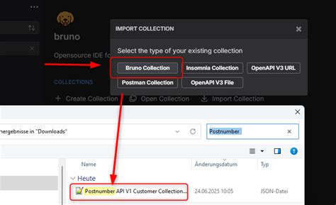 Image result for Convert JSON to Bruno Collection