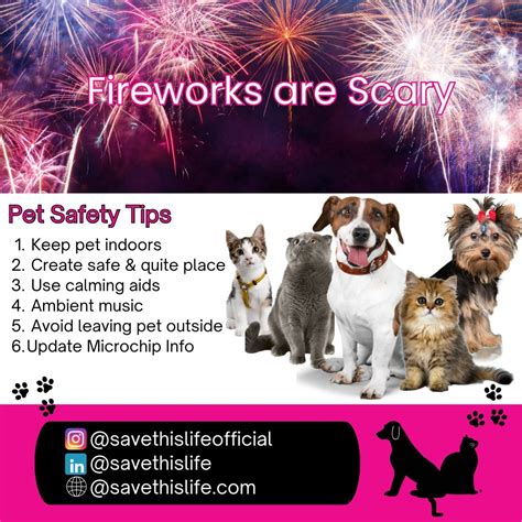 Save This Life - Microchip & Pet Recovery System (@savethislifeofficial ...