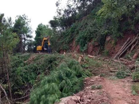 Image result for Laser Cannon Tree Cutter