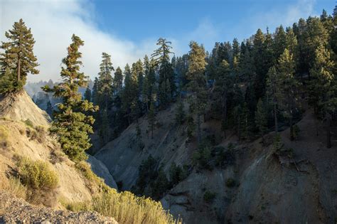 Brdige Fire Wilderness - LA County Recovers