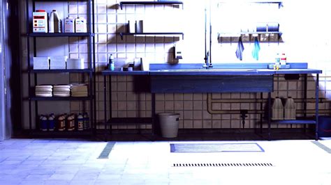 Basement Worm Farm 的图像结果