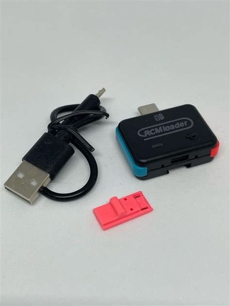 RCM Loader Tutorial 的图像结果