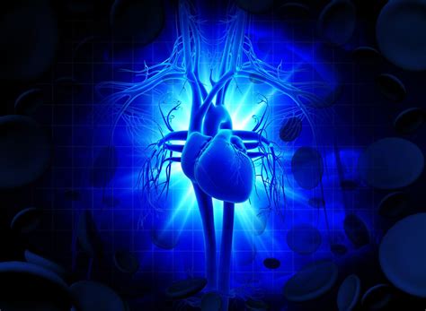 ¿Qué es un soplo en el corazón?