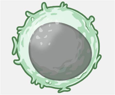 Target Cell Killing Bioassays