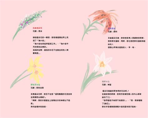 Image result for Dev ACS FN