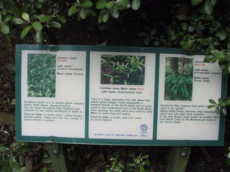 ZooLex Image - Plant Sign