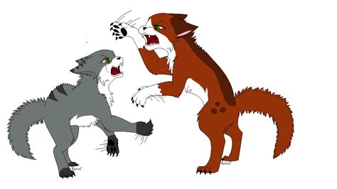 Image result for deviantART Boxing Cat Fight