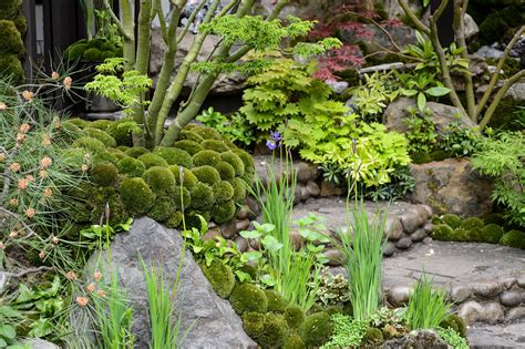 Ideas Rockery Plants