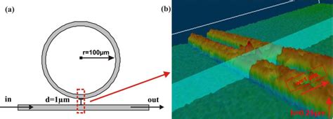A Microring Resonator Sensor for Sensitive Detection of 1,3,5 ...