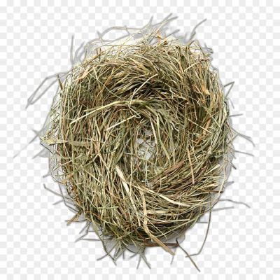 Nest No Background Isolated Transparent PNG - Pngsource