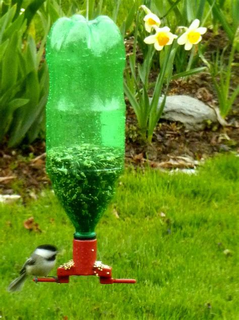 Eco-friendly Bird Feeder Made from Recycled Plastic Bottles