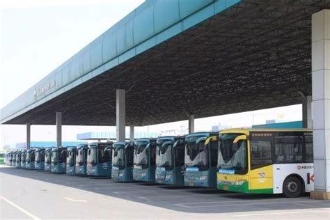 交通部：2020年燃油公交车全部停用，释放百万新能源汽车市场！_领域