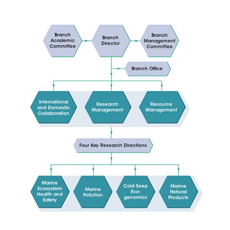 Management Structure 的图像结果