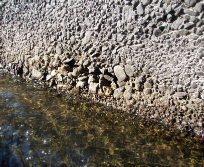 Image result for Alien Slime Creature