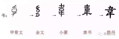 第61-70名：陆金石戴贾韦夏邱方侯，收集最全的中国四百大姓姓氏原始图腾及汉字字形字源演变 - 知乎