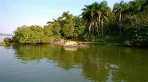 Lagoa Mirim com ambiente ideal para pesca esportiva de traíras no Rio Grande do Sul